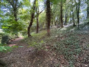 Woodland_ECW- click for photo gallery